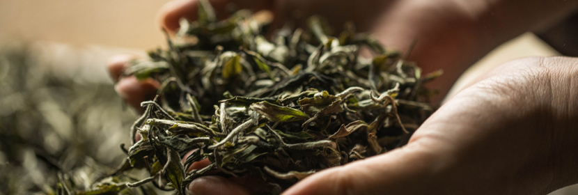 綠茶檢測(cè)